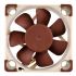 Noctua NF-A4x10 FLX, 40mm L�fter