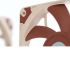Noctua NF-A12x15 FLX, 120mm L�fter 15mm H�he