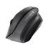 Cherry JW 4500 ergonomische kabellose Maus schwarz - USB - wirel